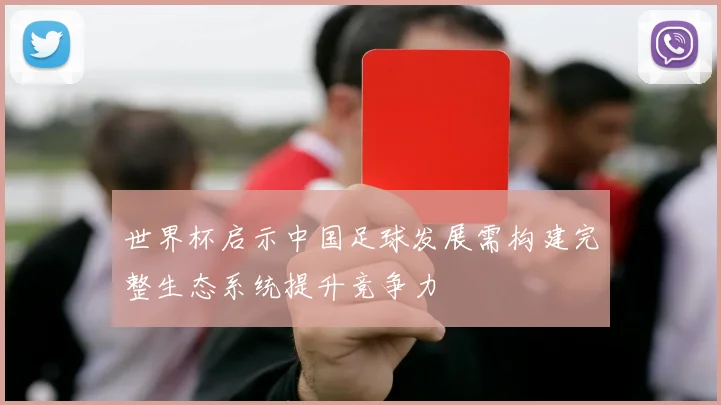 世界杯启示中国足球发展需构建完整生态系统提升竞争力